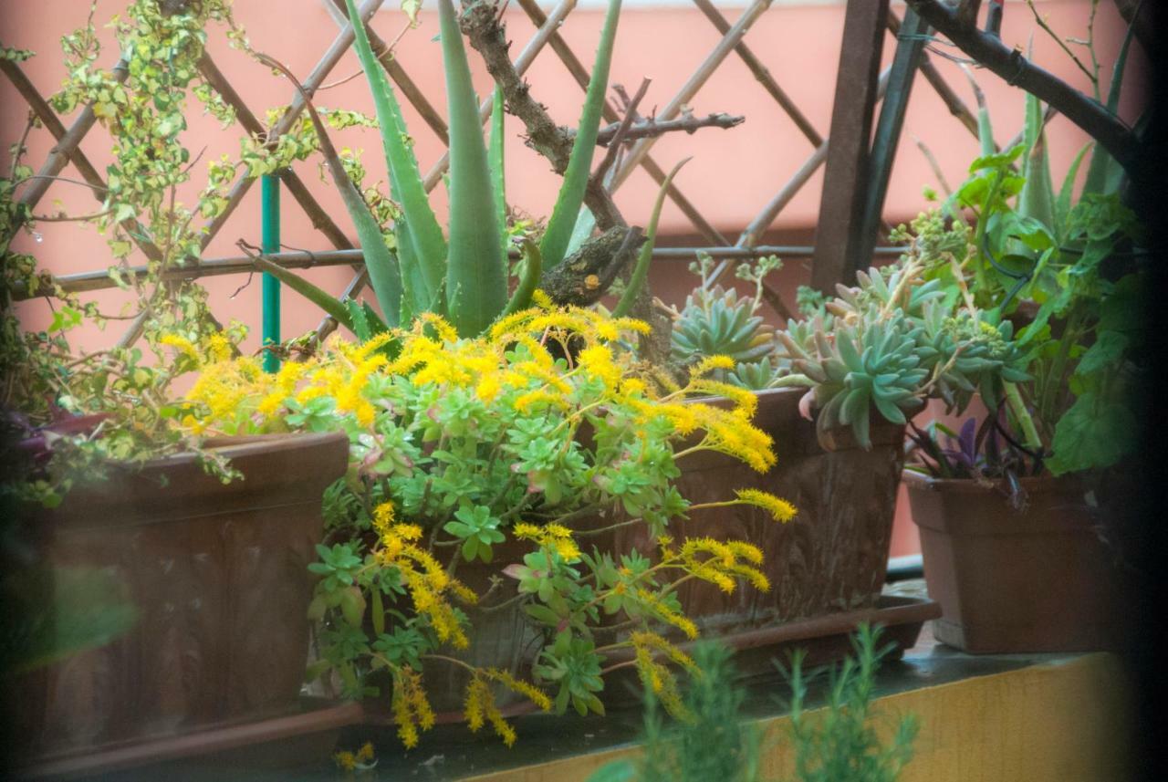 Appartamento Fiore Roma Exterior foto